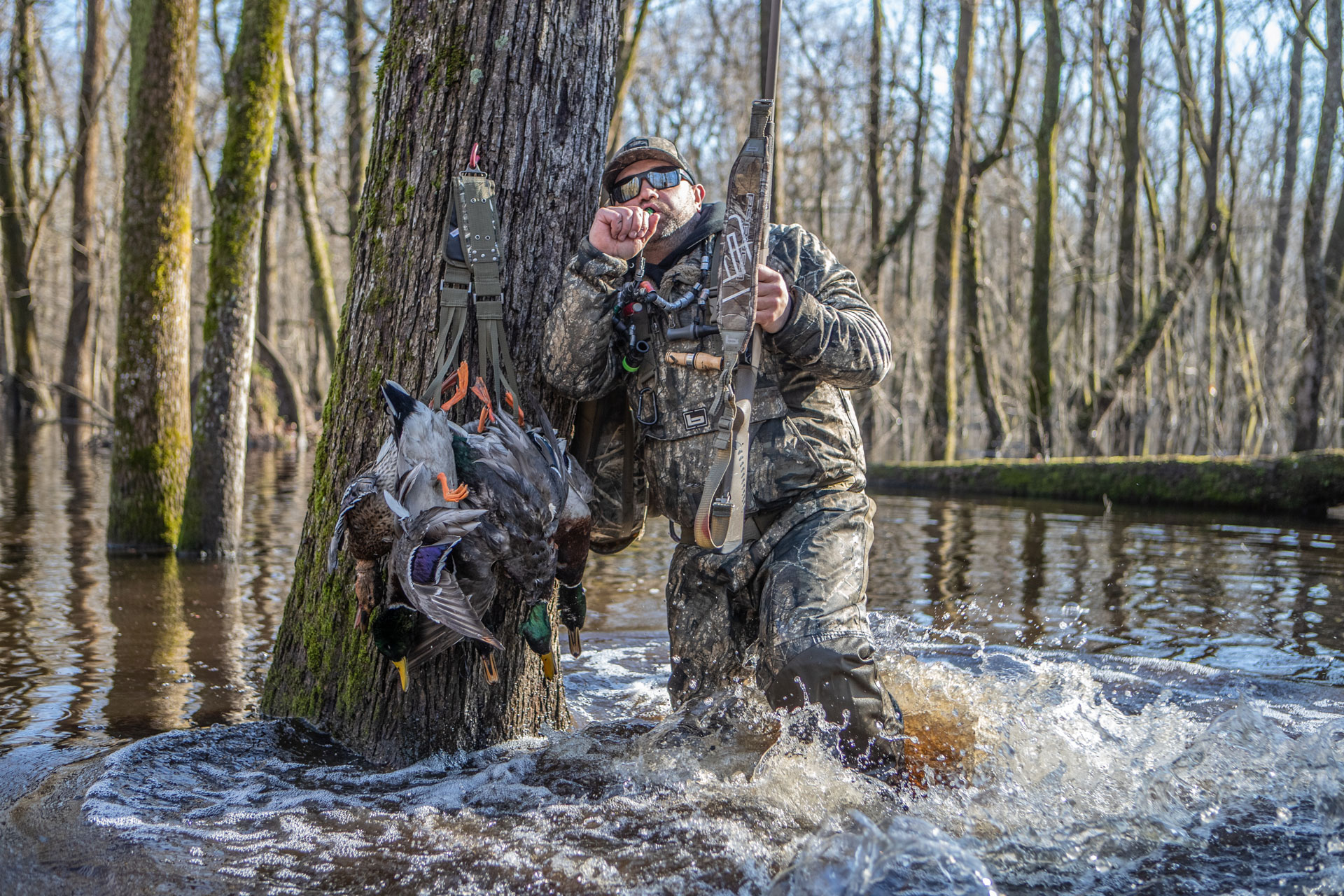 Duck Calling Flooded Timber